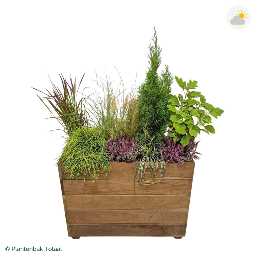 productfoto van plantenbak Hardhout Granada Rechthoek Veluwe