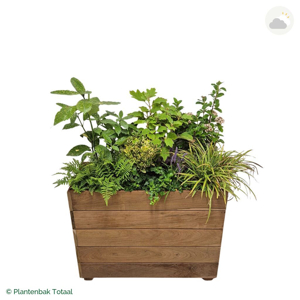 productfoto van plantenbak Hardhout Granada Rechthoek York