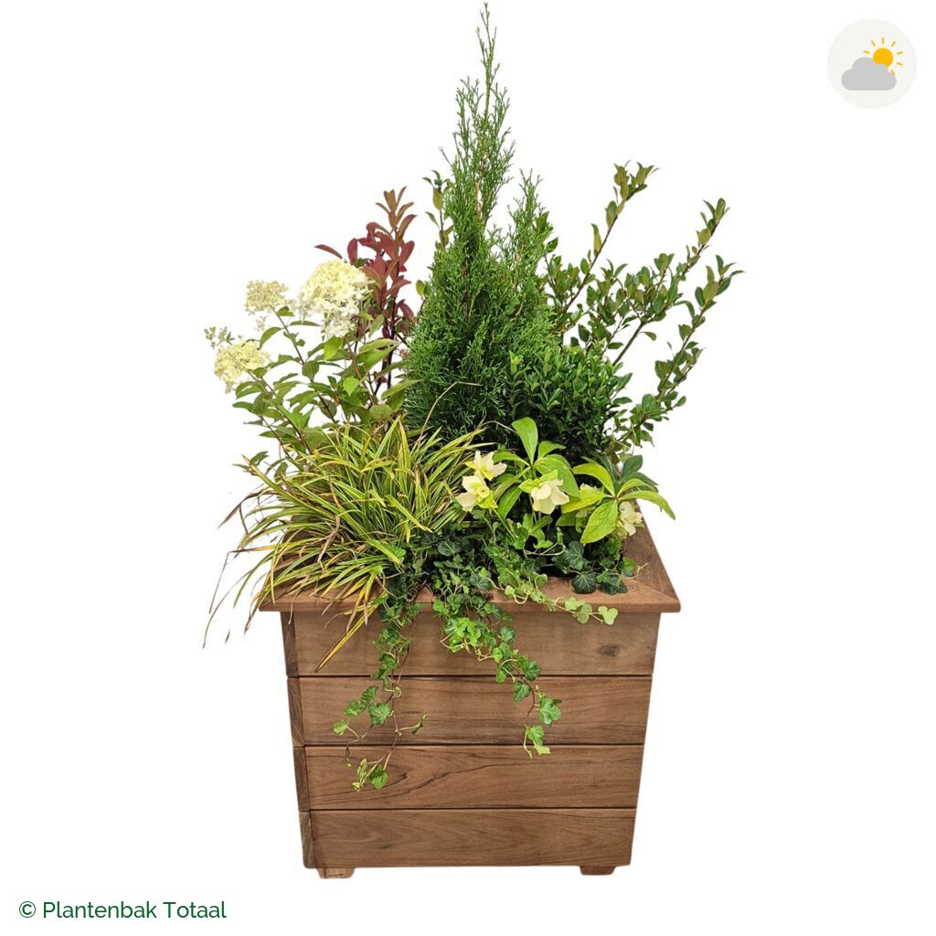 productfoto van plantenbak Hardhout Granada Vierkant Ardennen