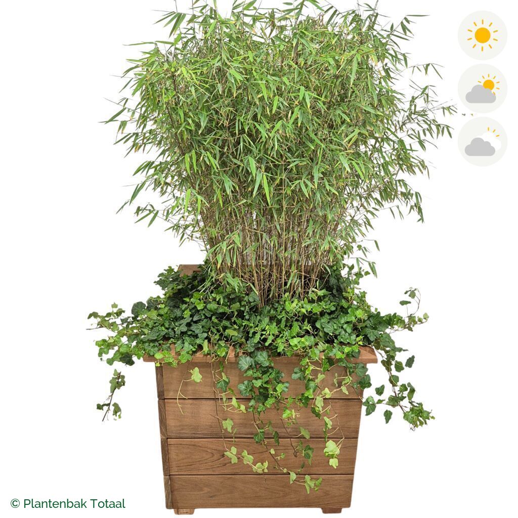 productfoto van plantenbak Hardhout Granada Vierkant Bamboe Combinatie
