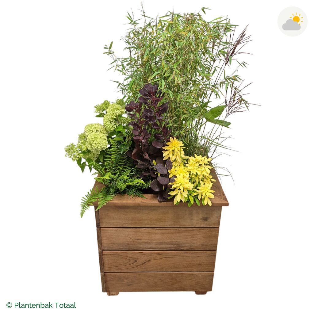 productfoto van plantenbak Hardhout Granada Vierkant Bohemen