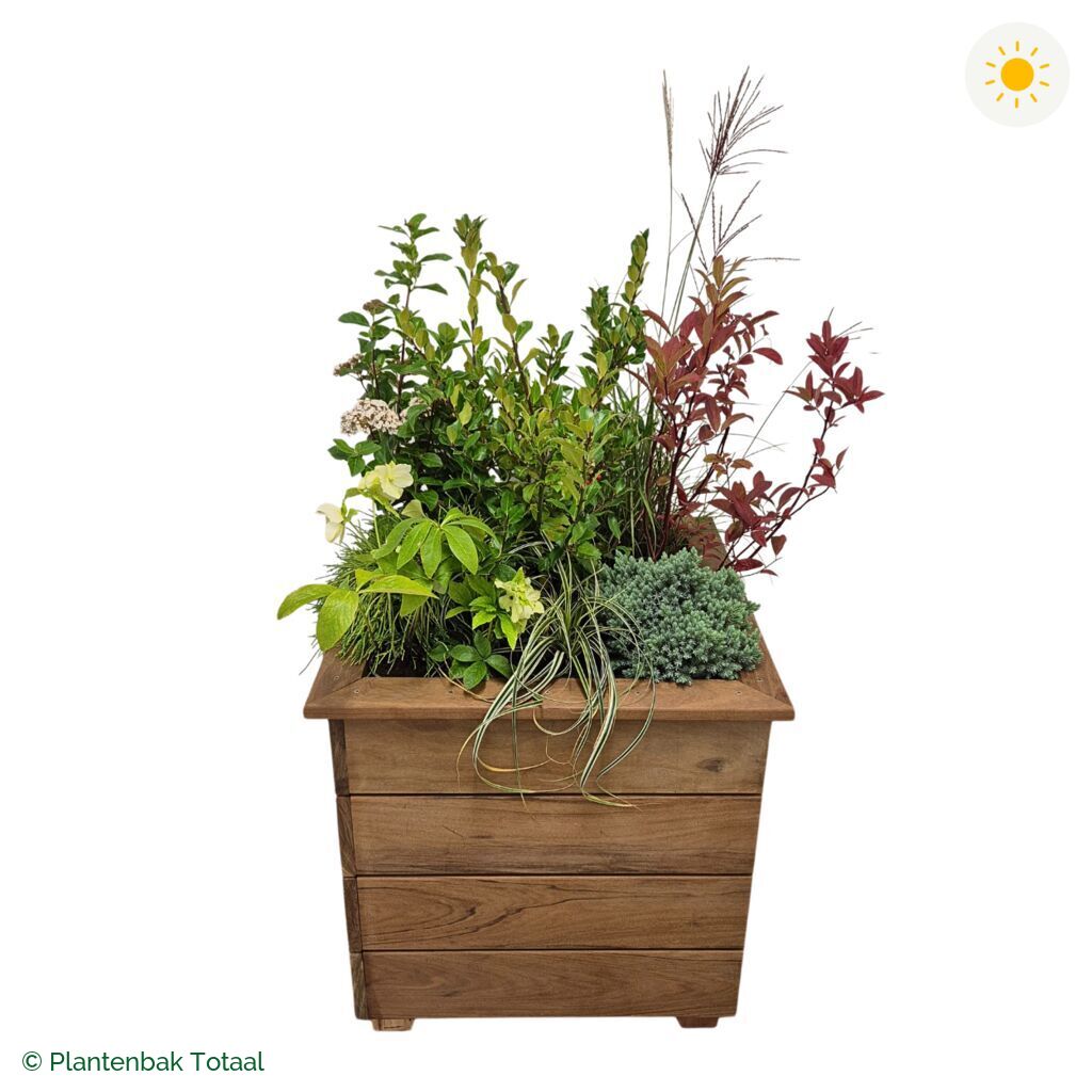 productfoto van plantenbak Hardhout Granada Vierkant Bretagne