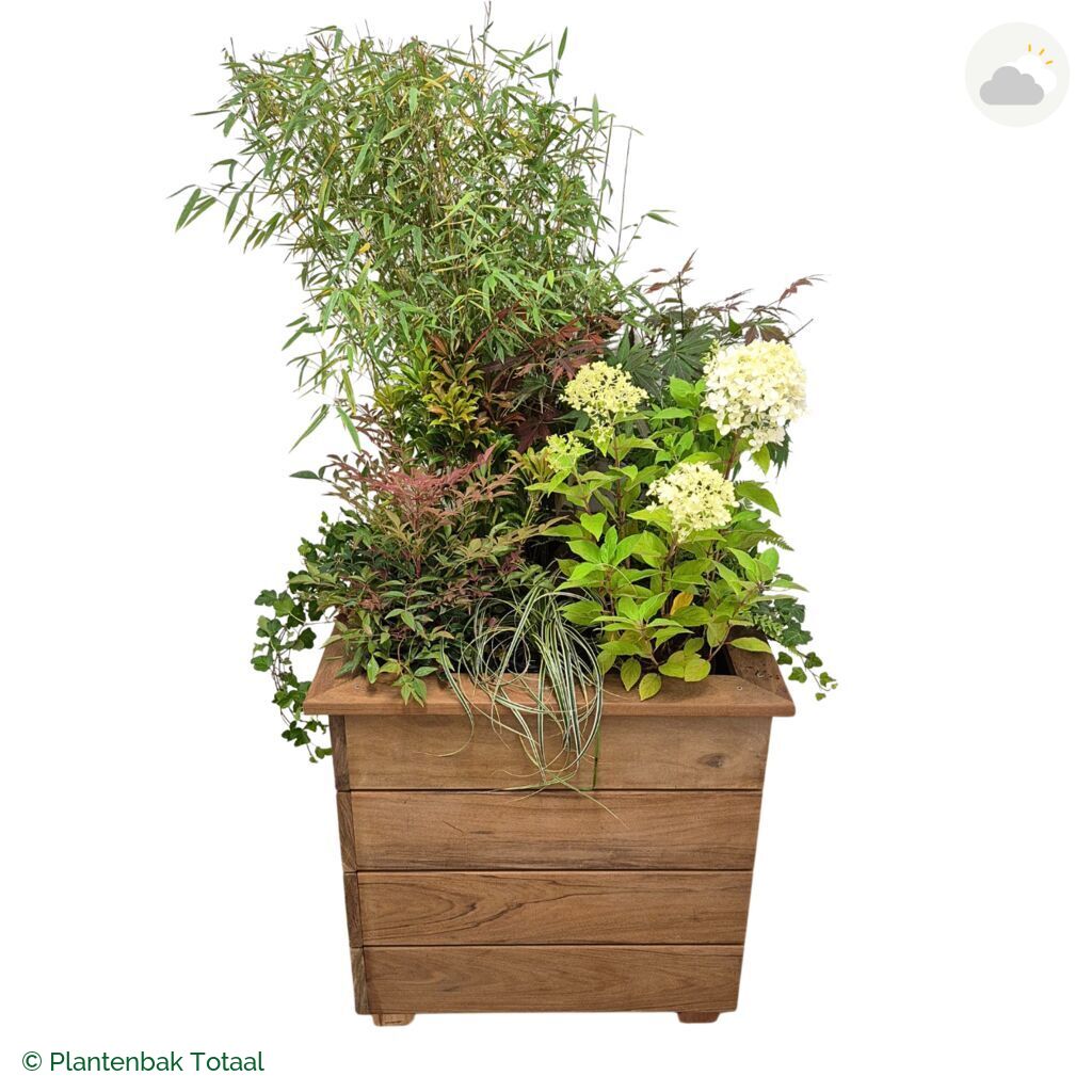 productfoto van plantenbak Hardhout Granada Vierkant Himalaya