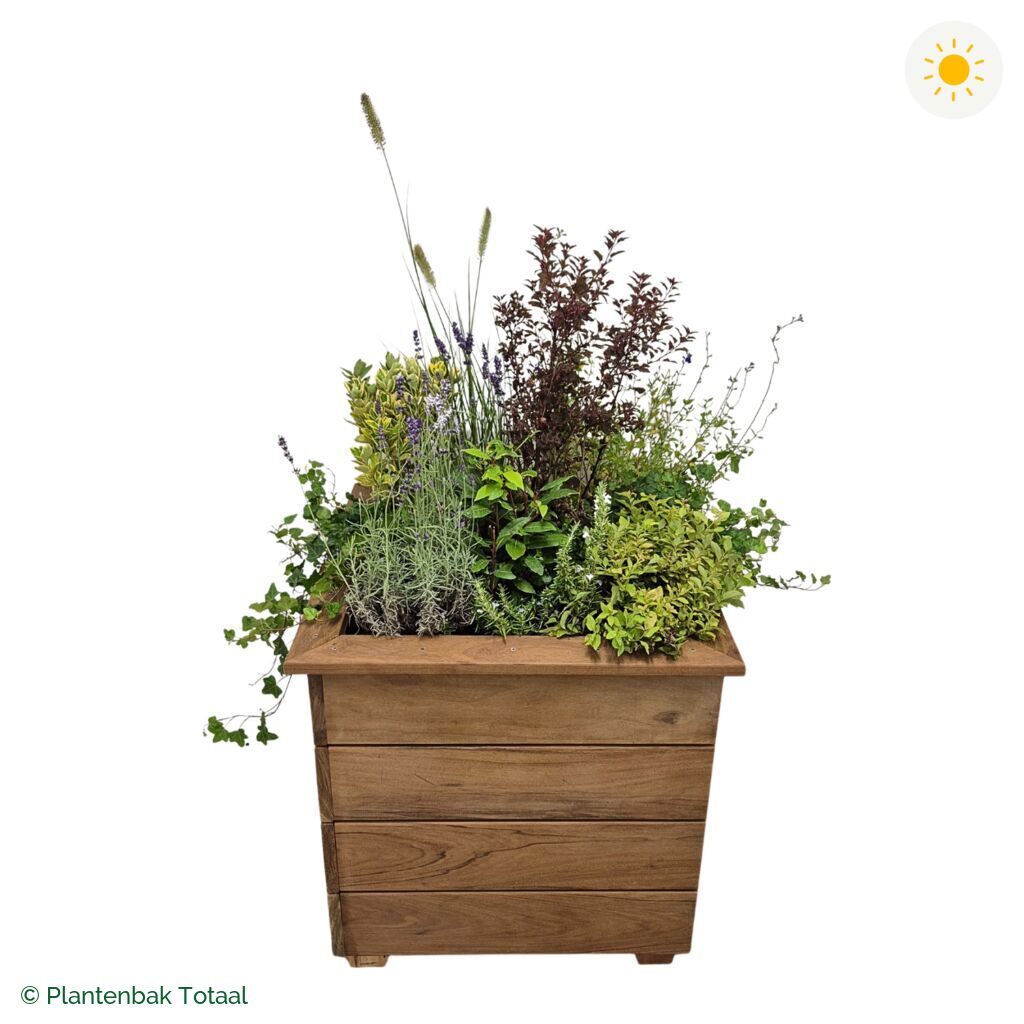productfoto van plantenbak Hardhout Granada Vierkant Provence