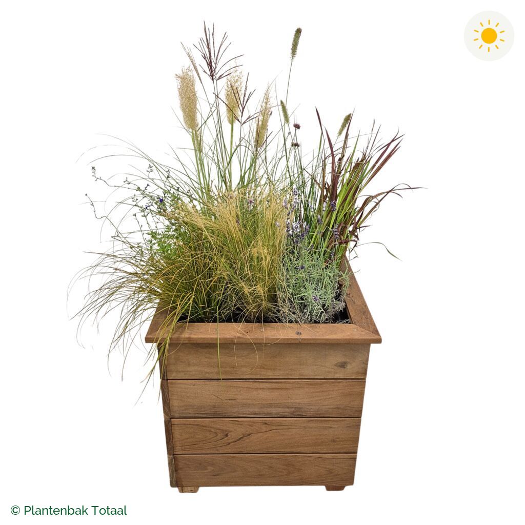 productfoto van plantenbak Hardhout Granada Vierkant Savanne