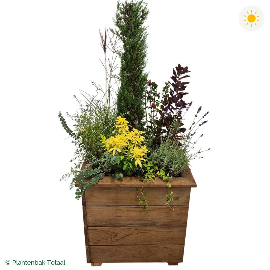productfoto van plantenbak Hardhout Granada Vierkant Toscane