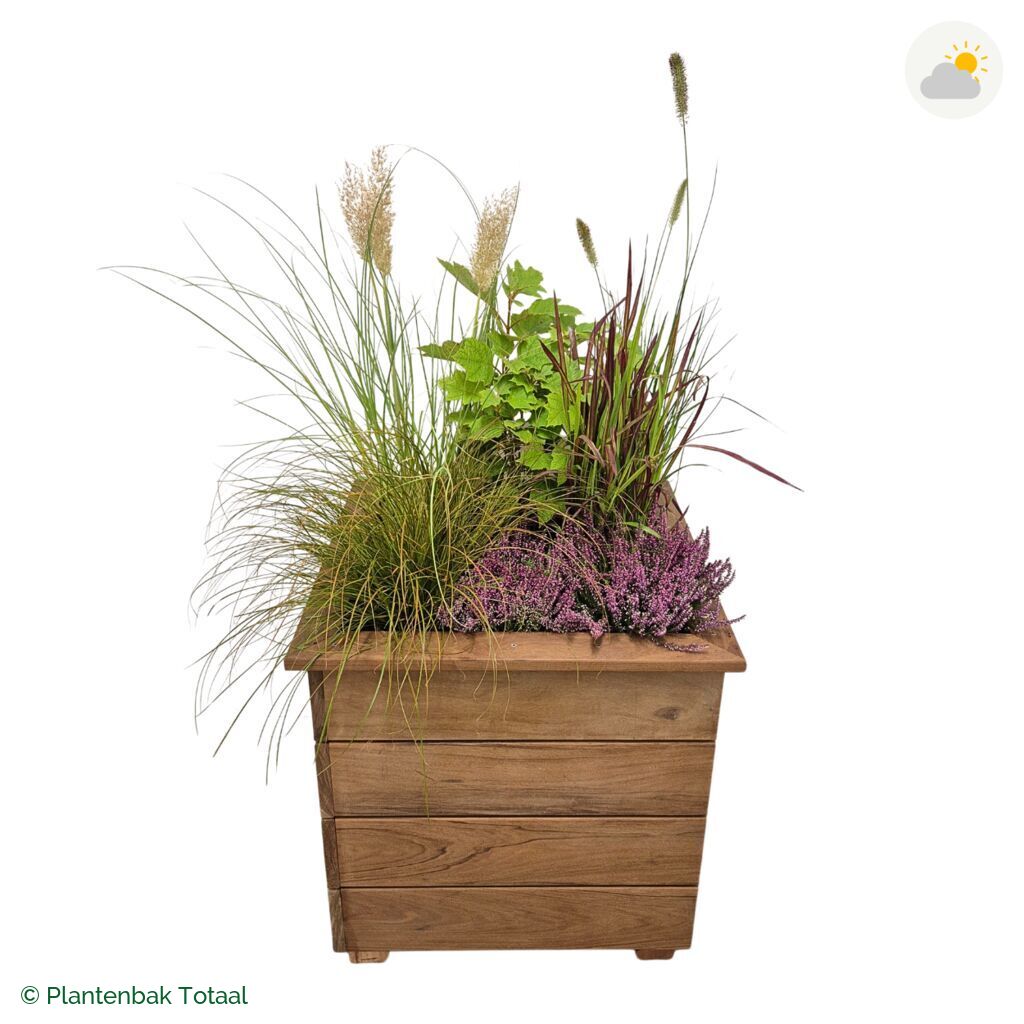 productfoto van plantenbak Hardhout Granada Vierkant Veluwe