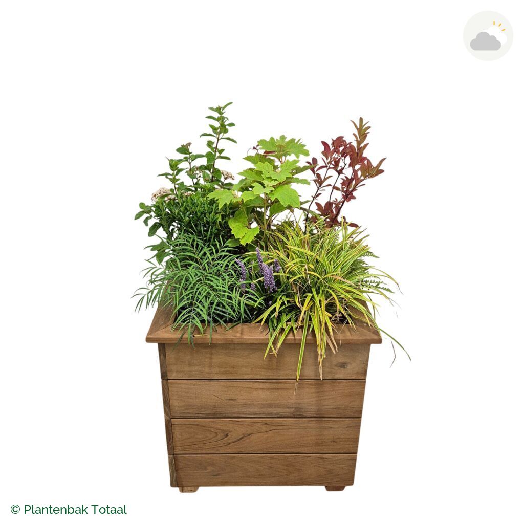 productfoto van plantenbak Hardhout Granada Vierkant York