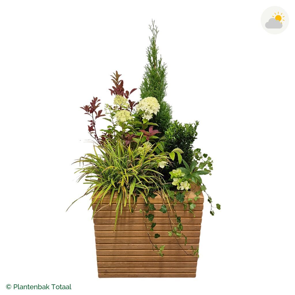 productfoto van plantenbak Hardhout Malaga Set Ardennen