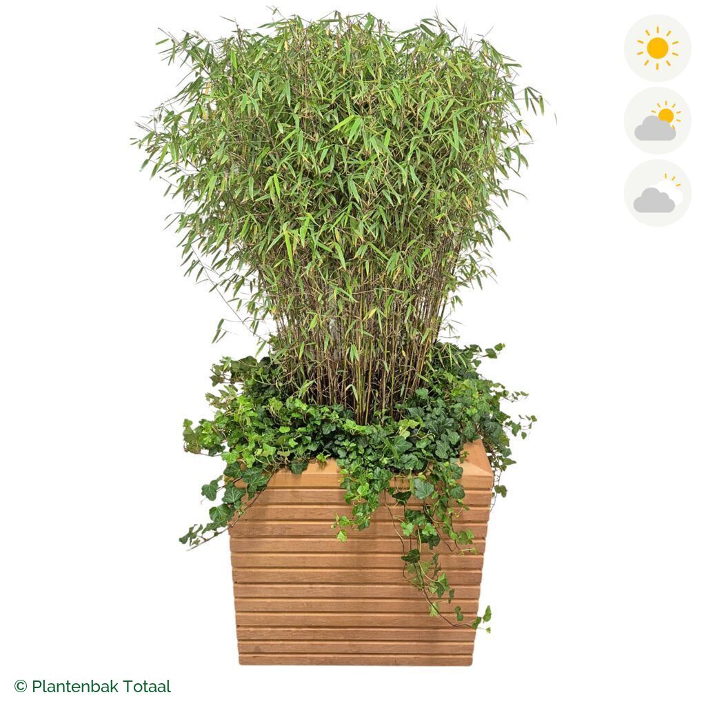 productfoto van plantenbak Hardhout Malaga Bamboe Combinatie