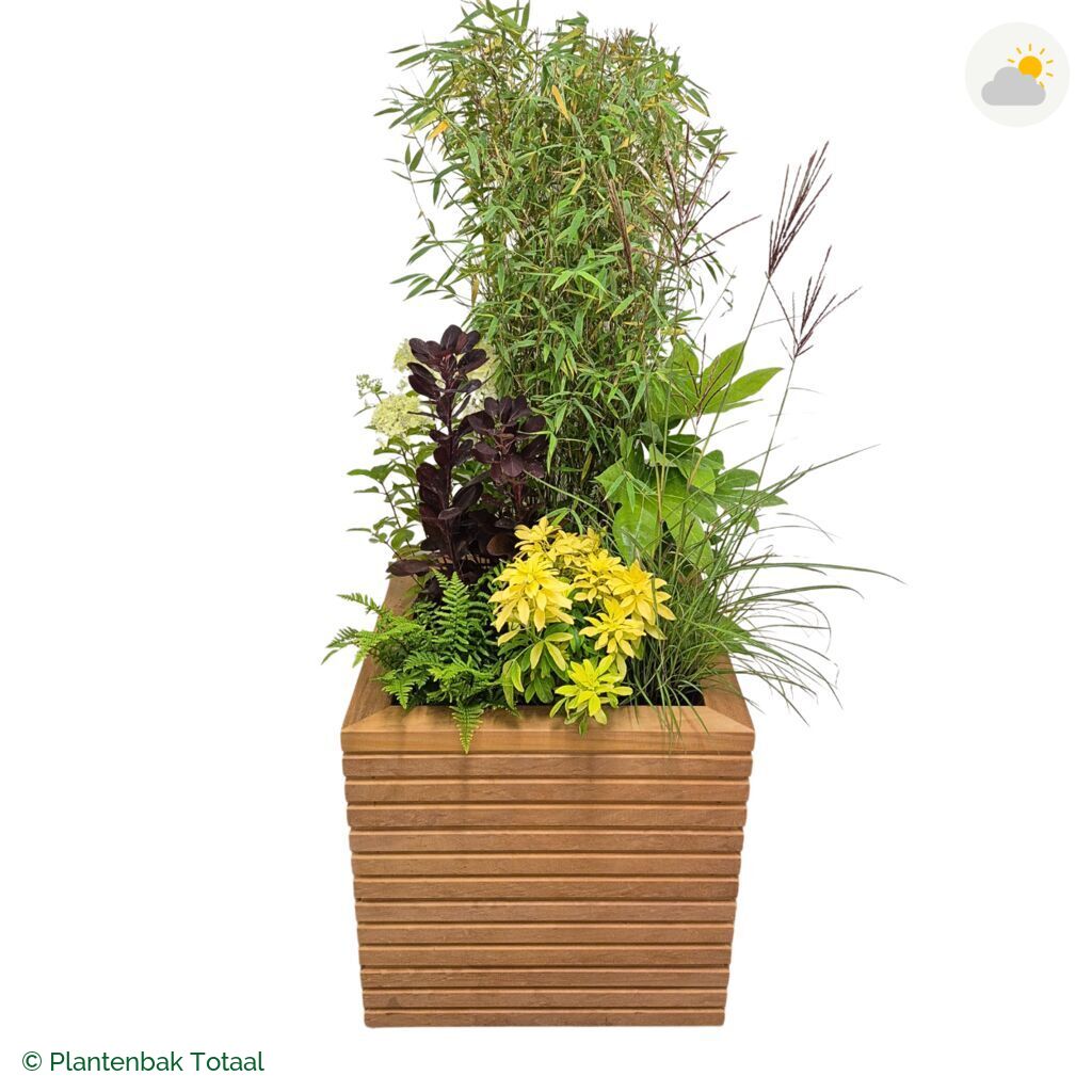 productfoto van plantenbak Hardhout Malaga Set Bohemen