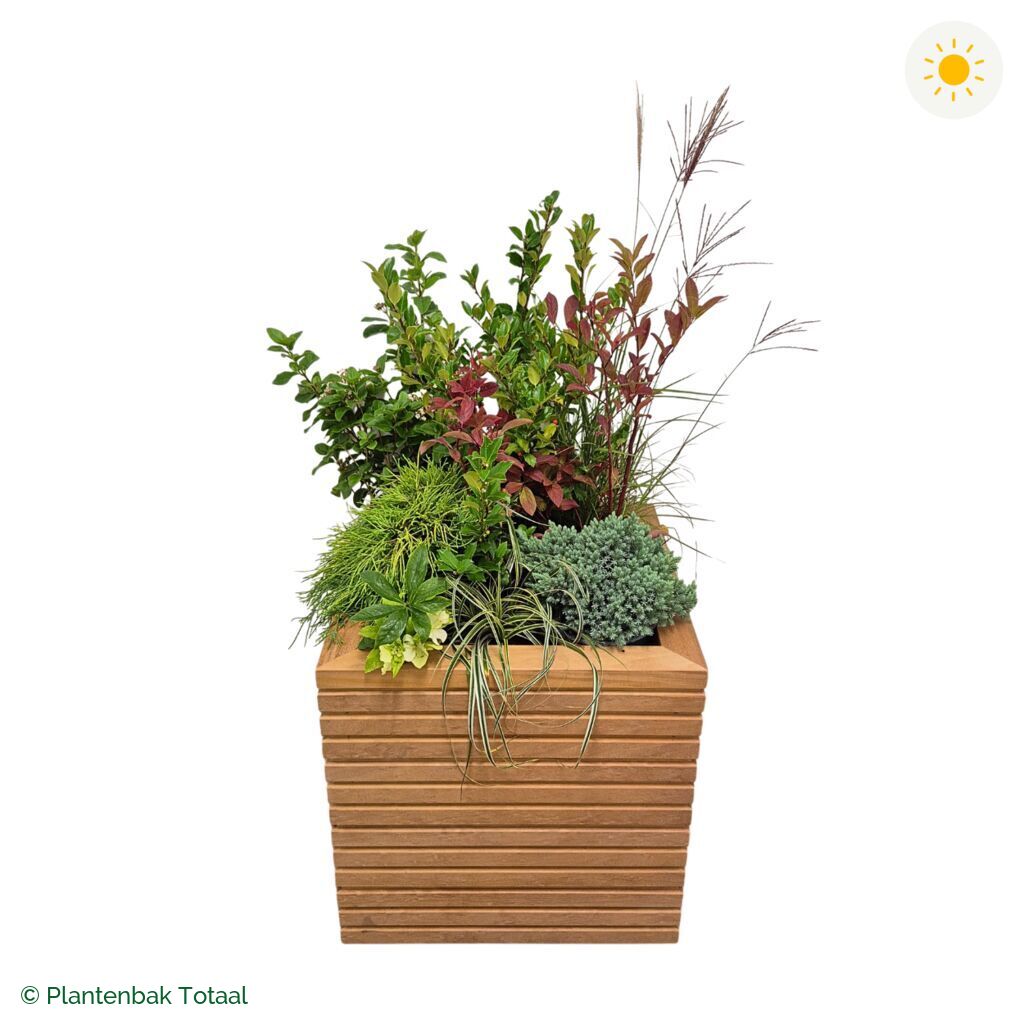 productfoto van plantenbak Hardhout Malaga Set Bretagne