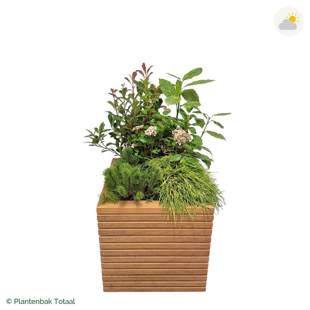 productfoto van plantenbak Hardhout Malaga Set Eifel