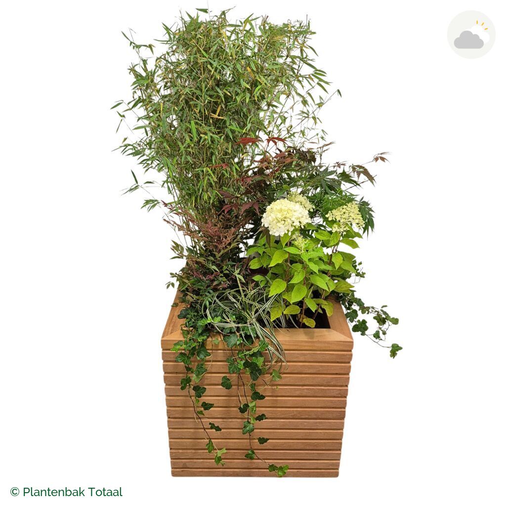 productfoto van plantenbak Hardhout Malaga Set Himalaya
