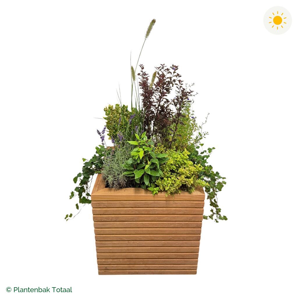 productfoto van plantenbak Hardhout Malaga Set Provence