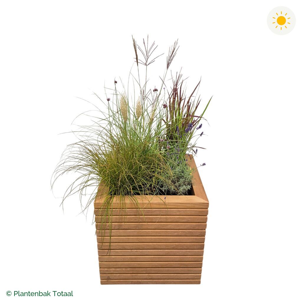 productfoto van plantenbak Hardhout Malaga Set Savanne