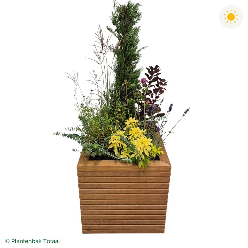 productfoto van plantenbak Hardhout Malaga Set Toscane