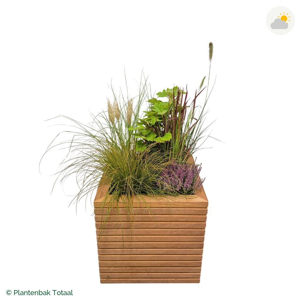 productfoto van plantenbak Hardhout Malaga Set Veluwe