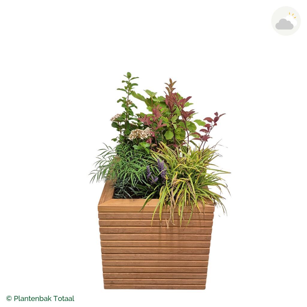 productfoto van plantenbak Hardhout Malaga Set York