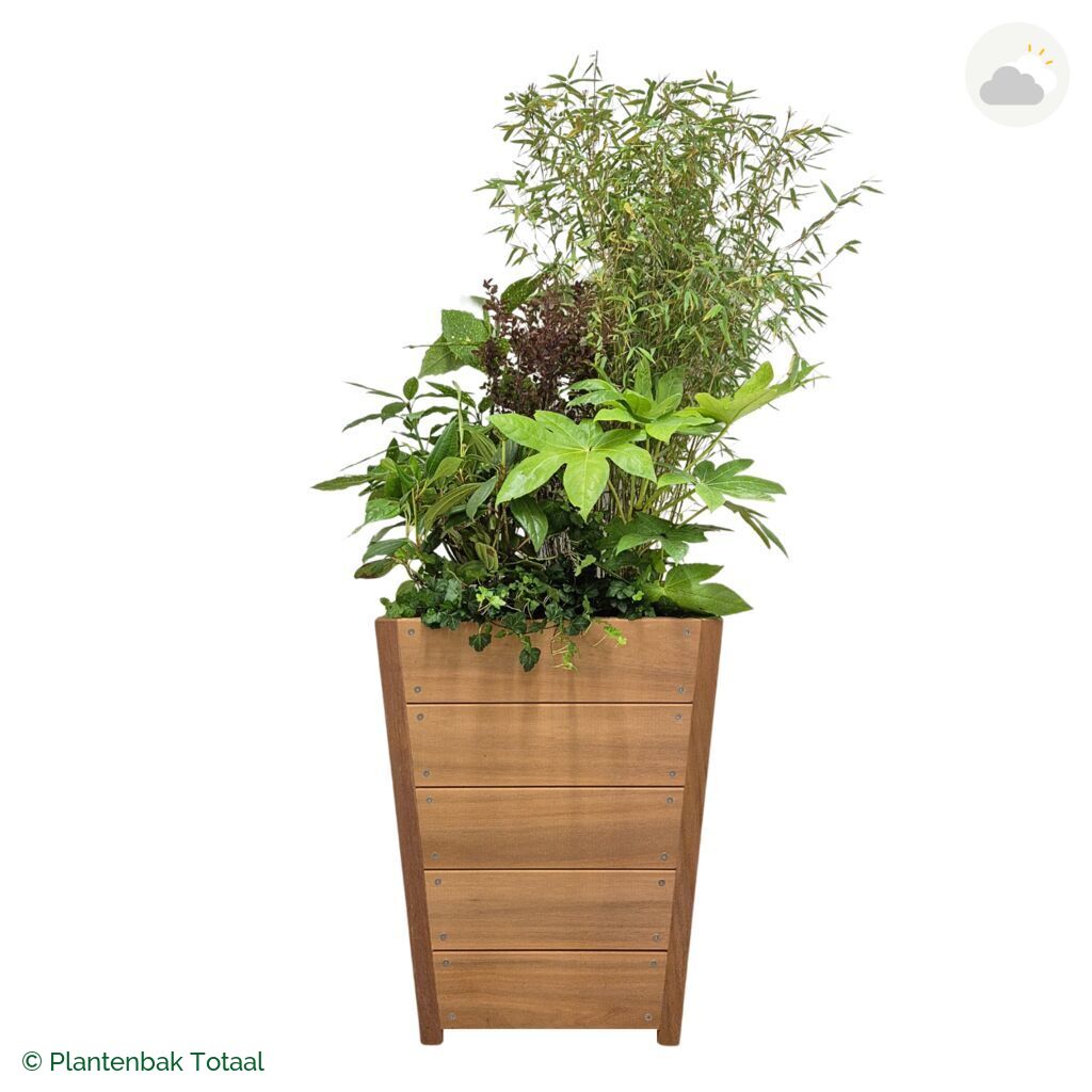 productfoto van plantenbak Hardhout Tap Set Amazone