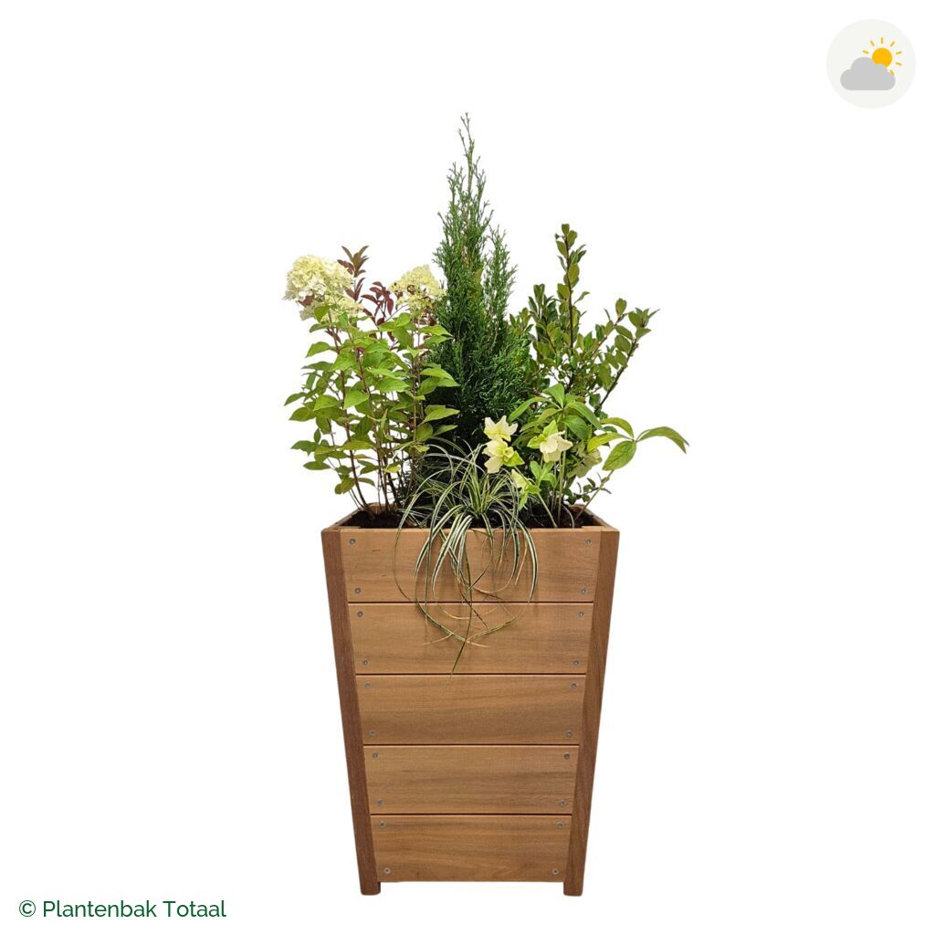 productfoto van plantenbak Hardhout Tap Set Ardennen