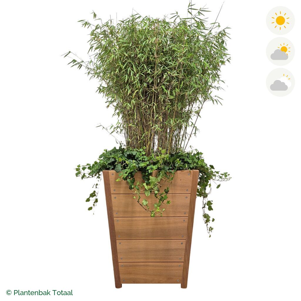 productfoto van plantenbak Hardhout Tap Bamboe Combinatie