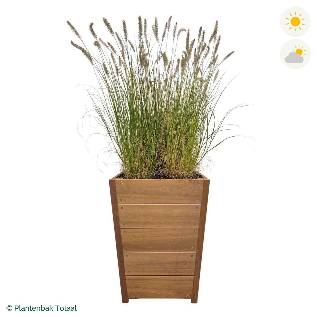 productfoto van plantenbak Hardhout Tap Lampenpoetsersgras