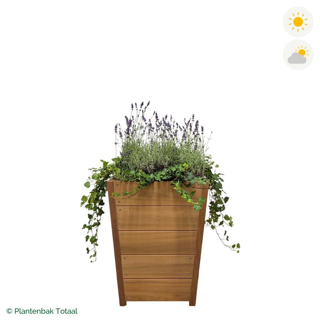 productfoto van plantenbak Hardhout Tap Lavendel Combinatie