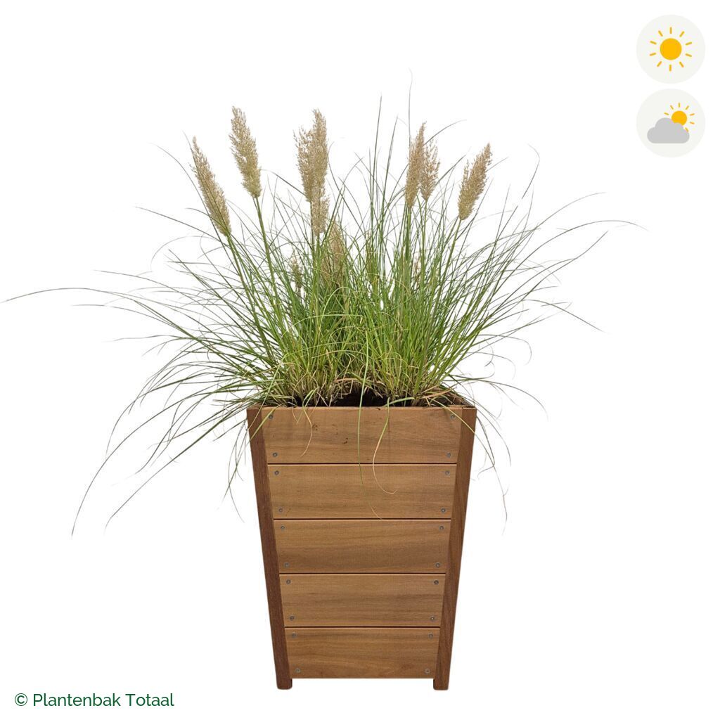 productfoto van plantenbak Hardhout Tap Pampasgras