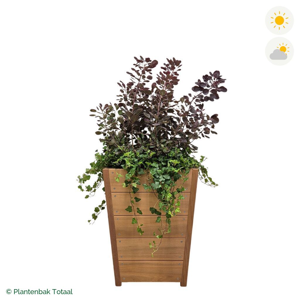 productfoto van plantenbak Hardhout Tap Pruikenboom Combinatie