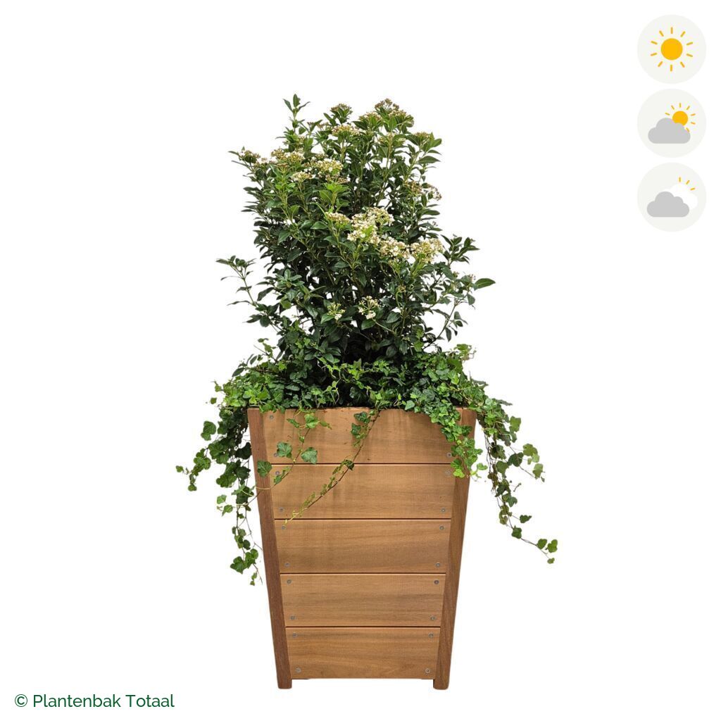 productfoto van plantenbak Hardhout Tap Sneeuwbal Combinatie