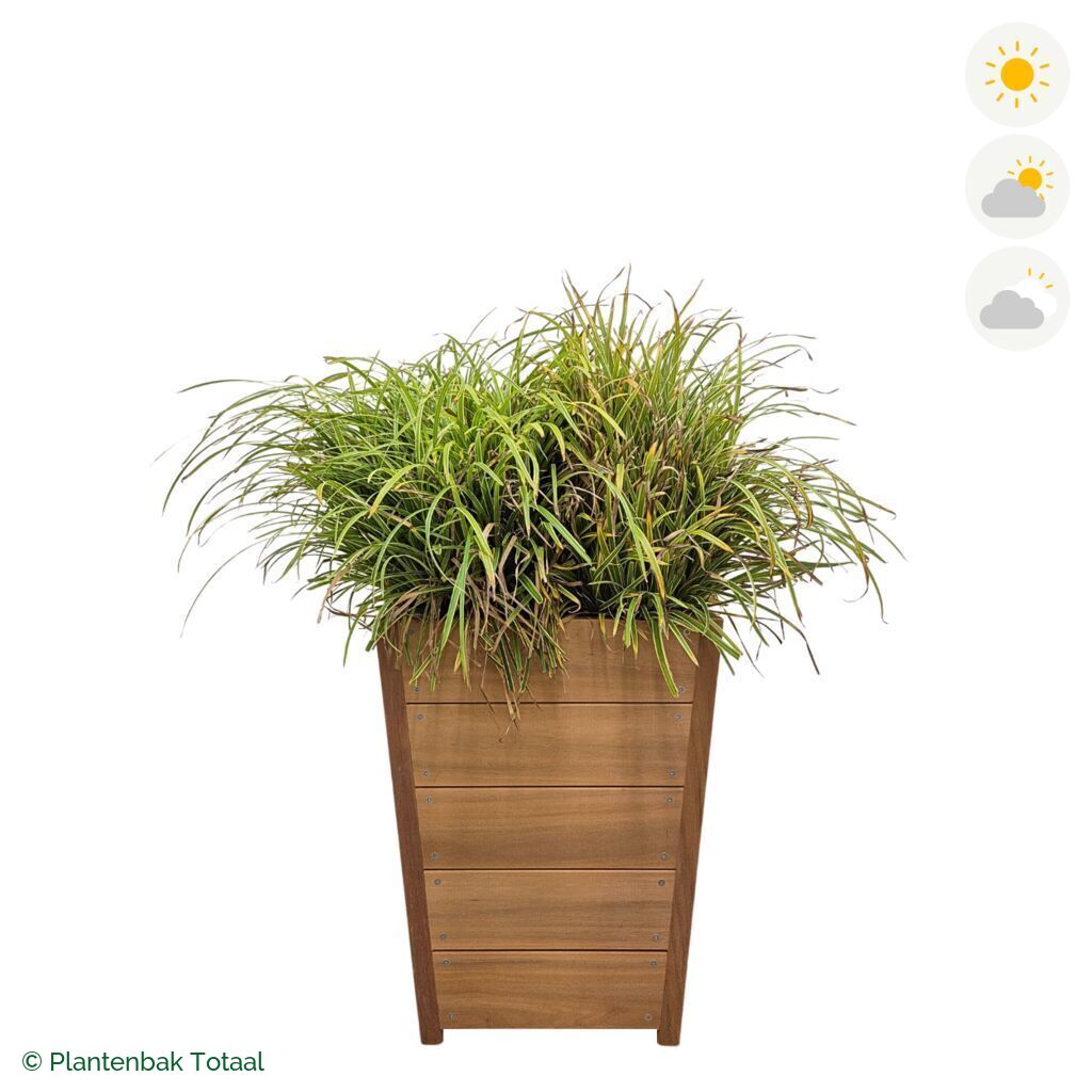 productfoto van plantenbak Hardhout Tap Zegge