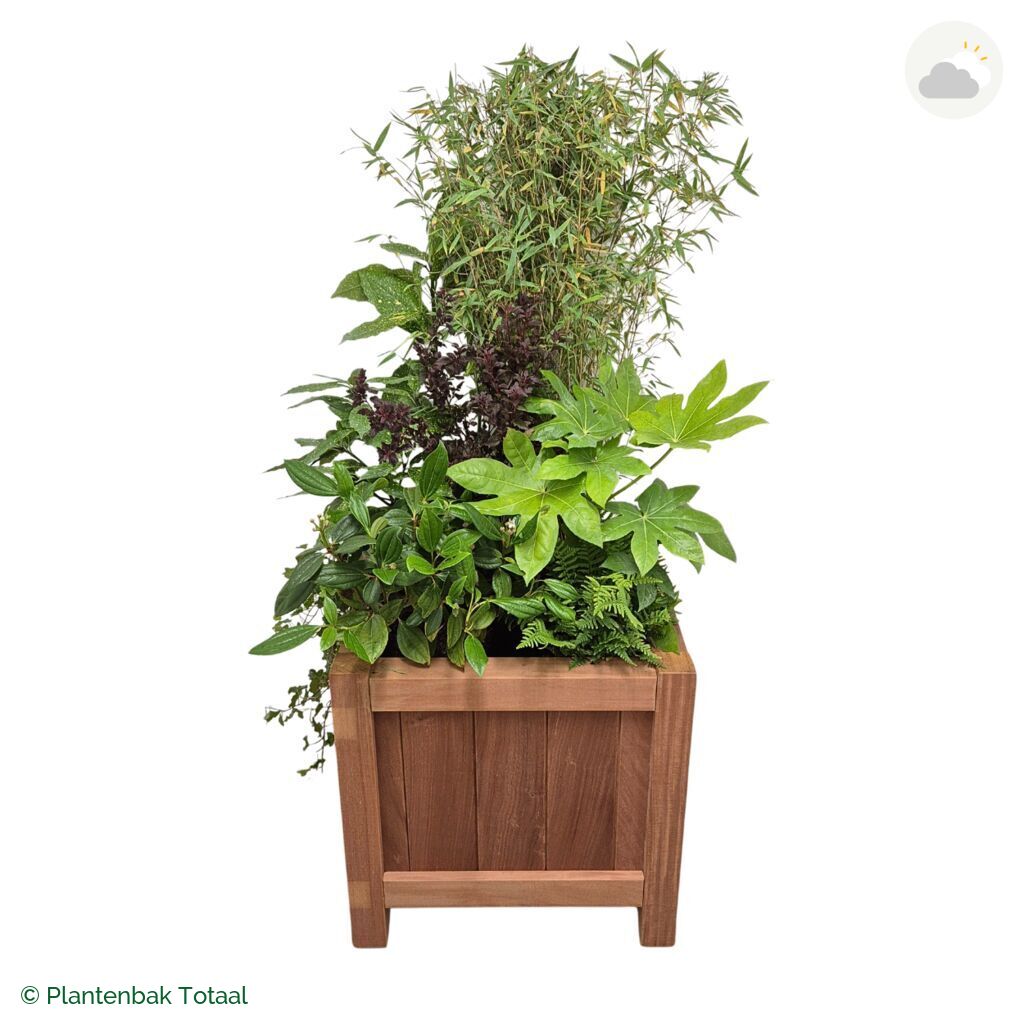 productfoto van plantenbak Hardhout Valencia Set Amazone