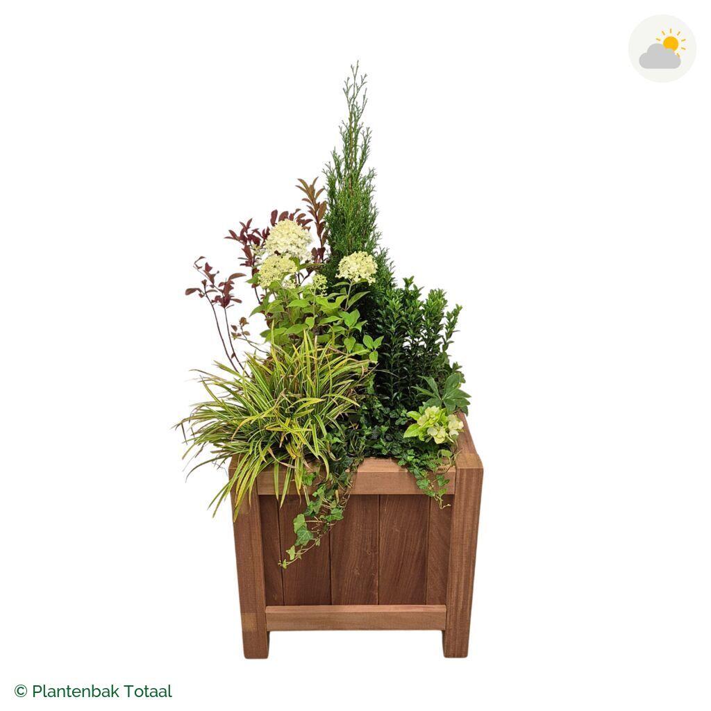 productfoto van plantenbak Hardhout Valencia Set Ardennen