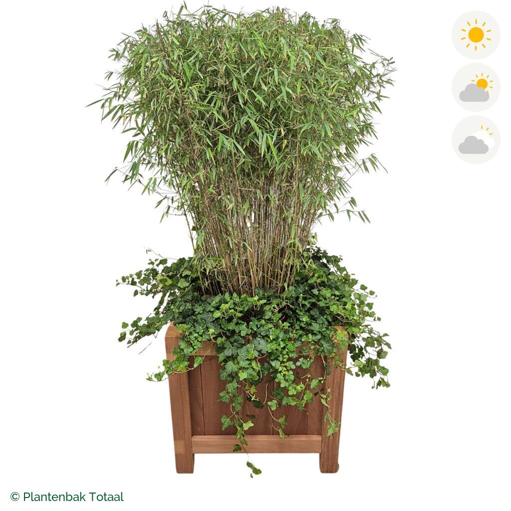 productfoto van plantenbak Hardhout Valencia Bamboe Combinatie