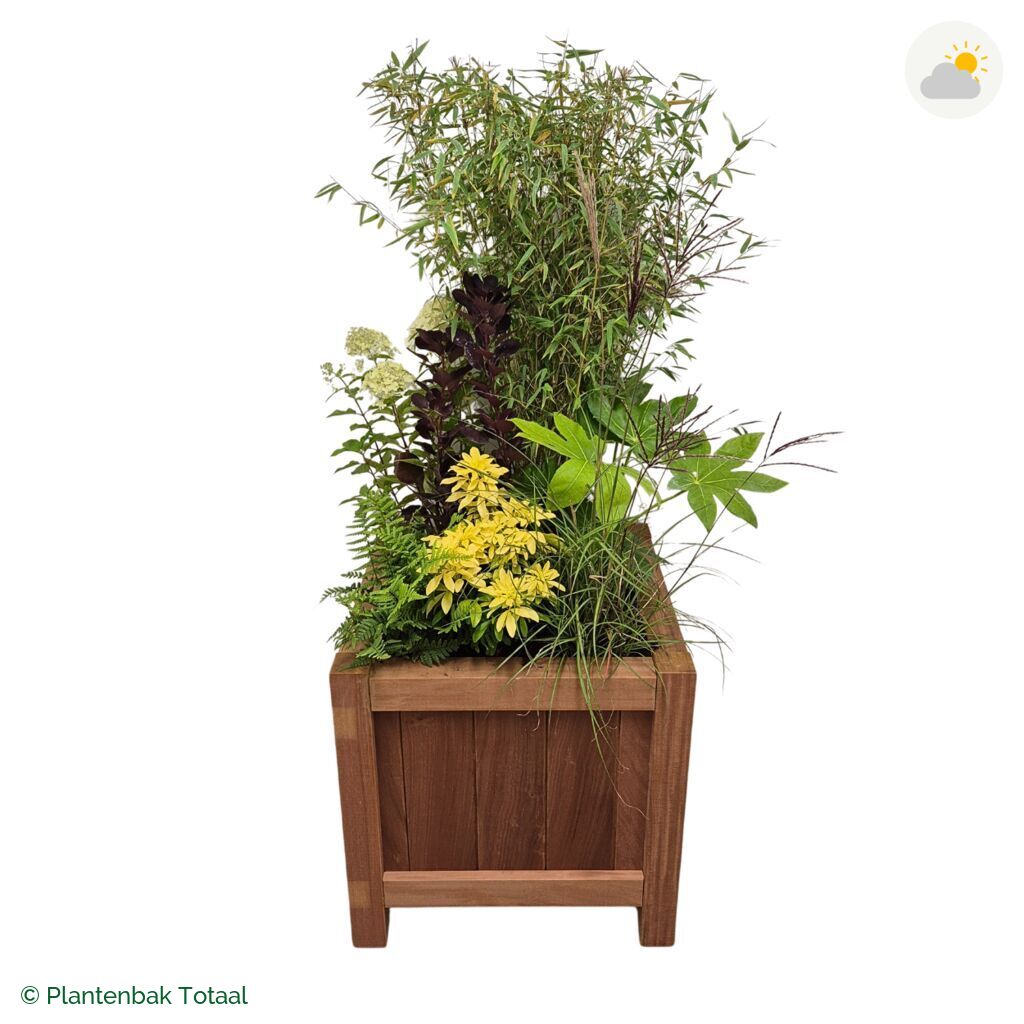 productfoto van plantenbak Hardhout Valencia Set Bohemen