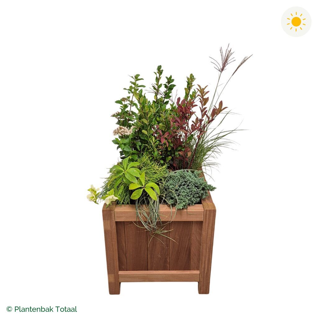 productfoto van plantenbak Hardhout Valencia Set Bretagne