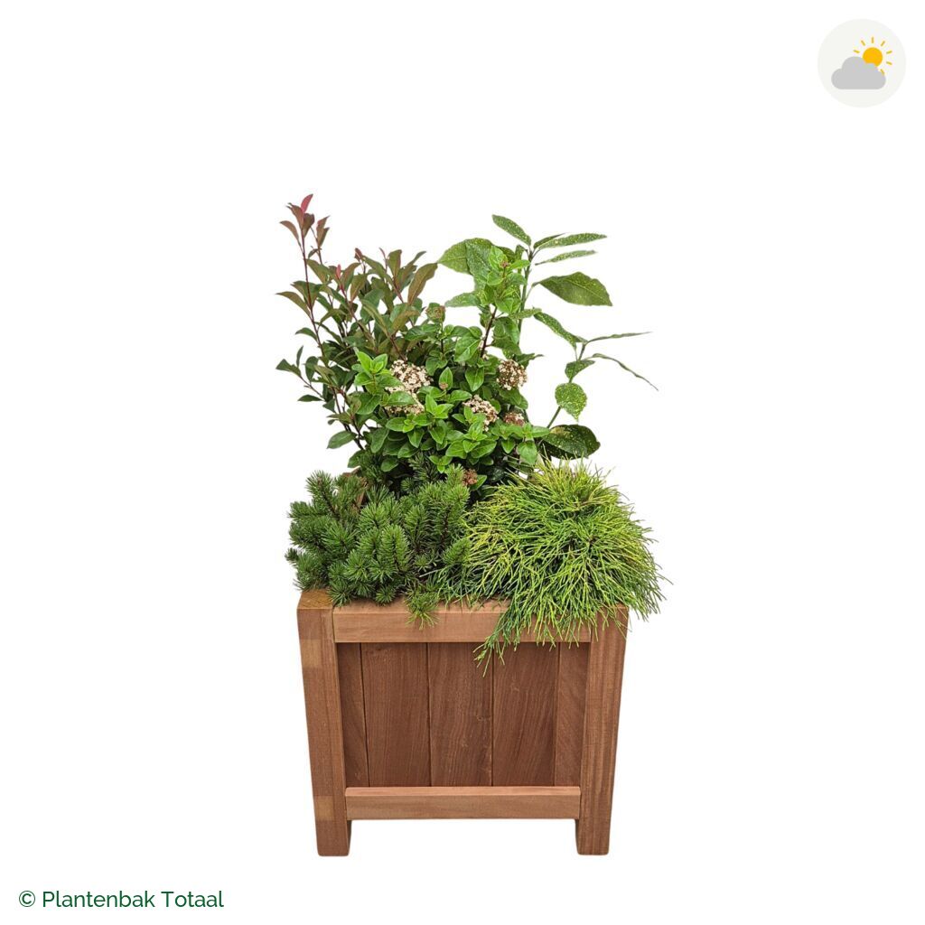 productfoto van plantenbak Hardhout Valencia Set Eifel
