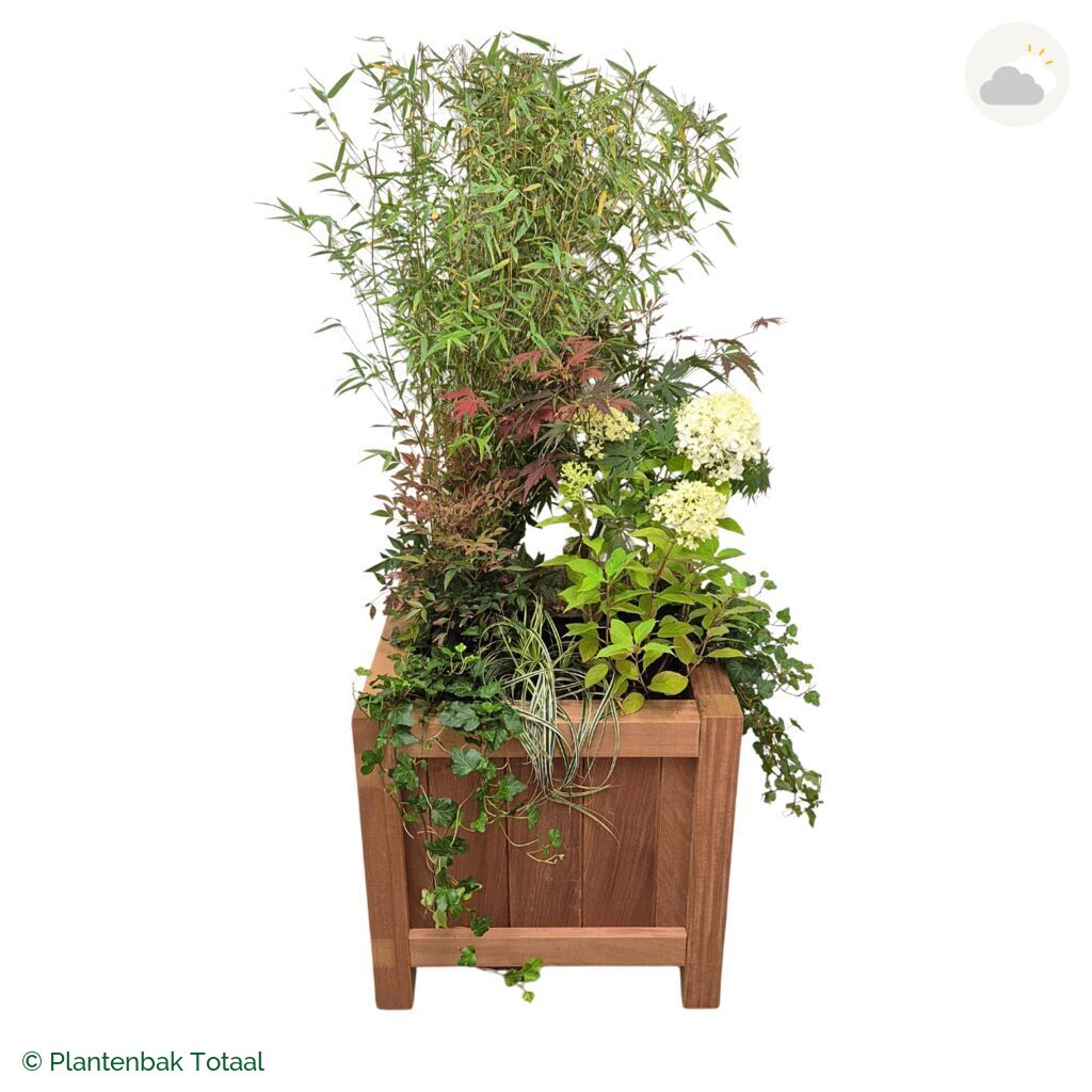 productfoto van plantenbak Hardhout Valencia Set Himalaya