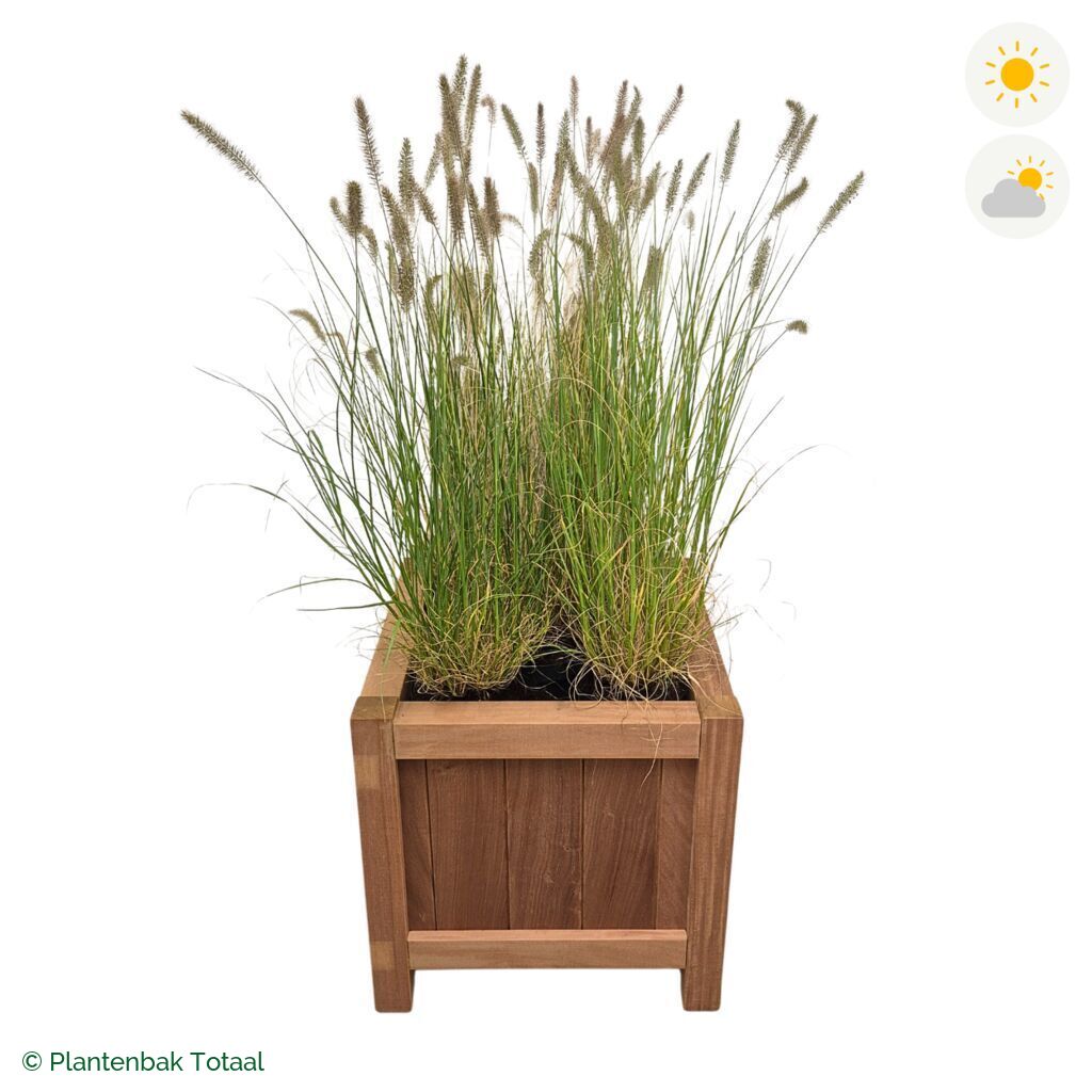 productfoto van plantenbak Hardhout Valencia Lampenpoetsersgras