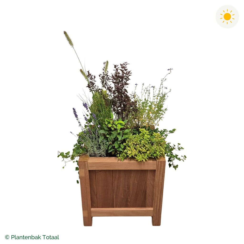 productfoto van plantenbak Hardhout Valencia Set Provence
