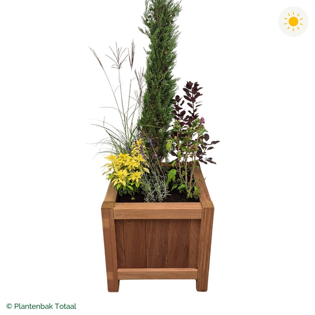 productfoto van plantenbak Hardhout Valencia Set Toscane