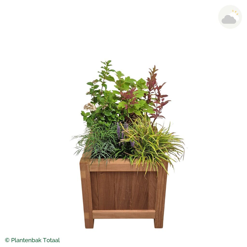 productfoto van plantenbak Hardhout Valencia Set York
