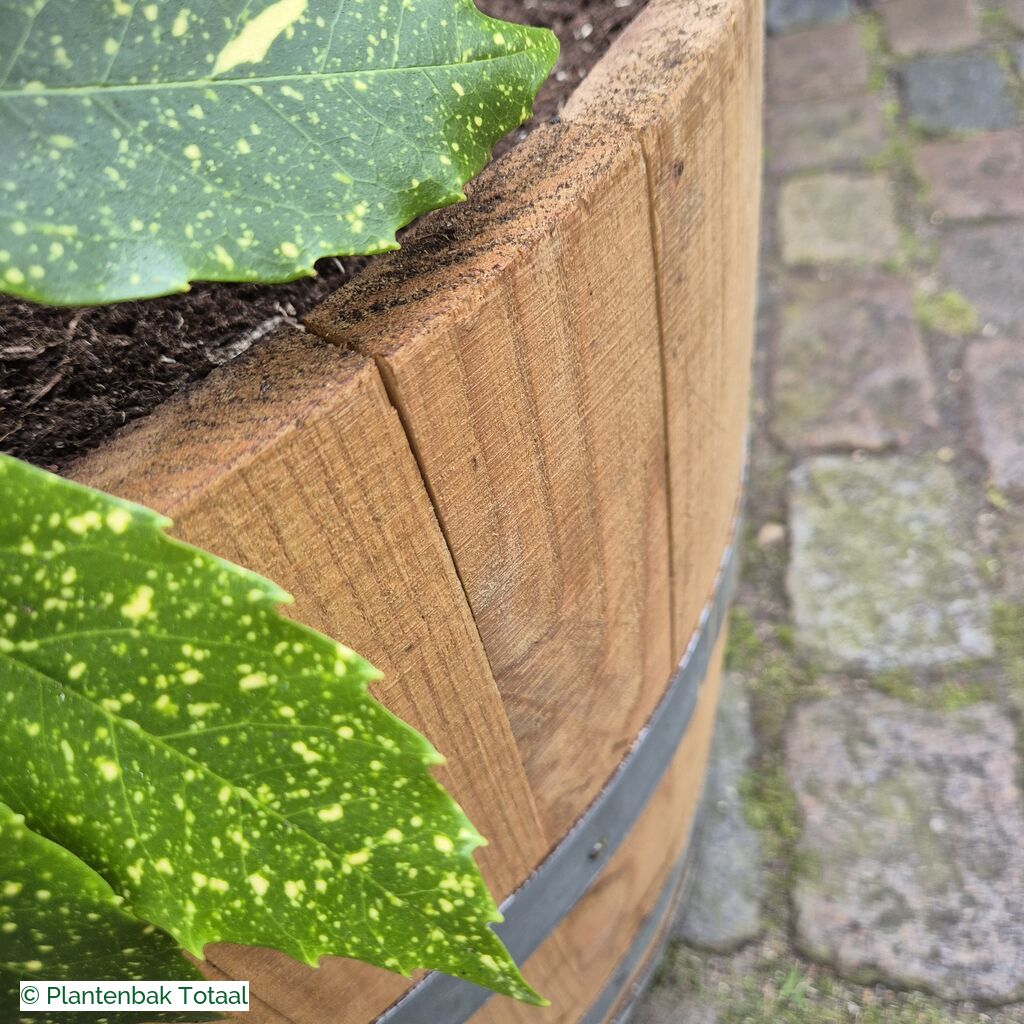productlijn foto van plantenbak EH Half Wijnvat rond