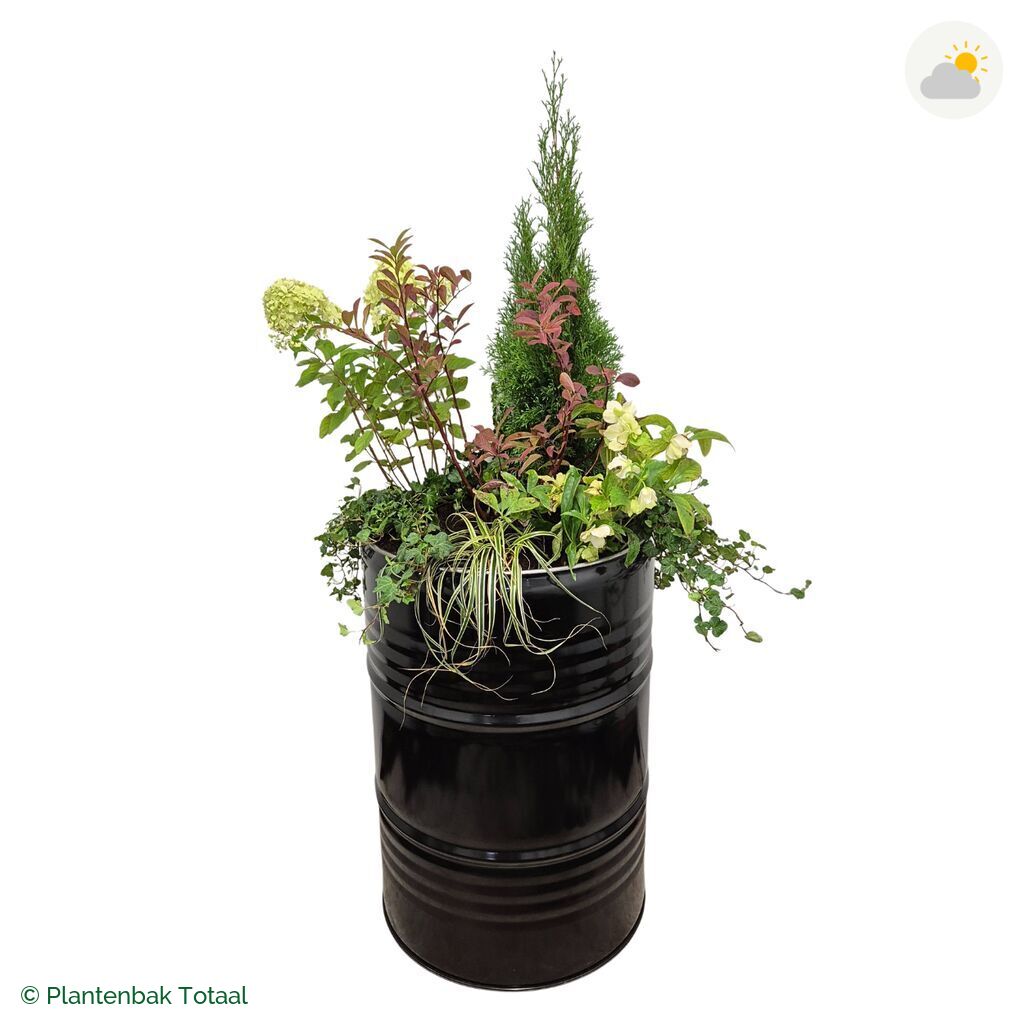 productfoto van plantenbak Metalen Olievat Set Ardennen