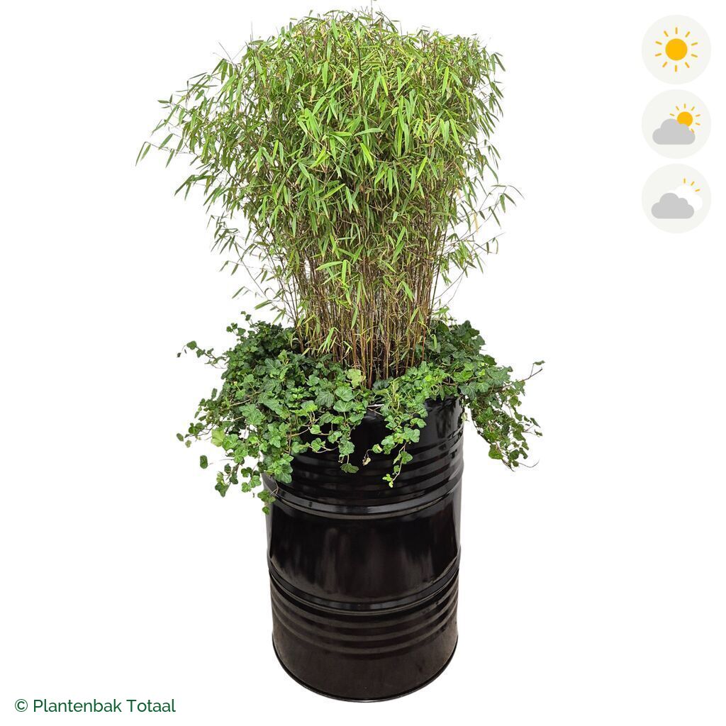 productfoto van plantenbak Metalen Olievat Bamboe Combinatie