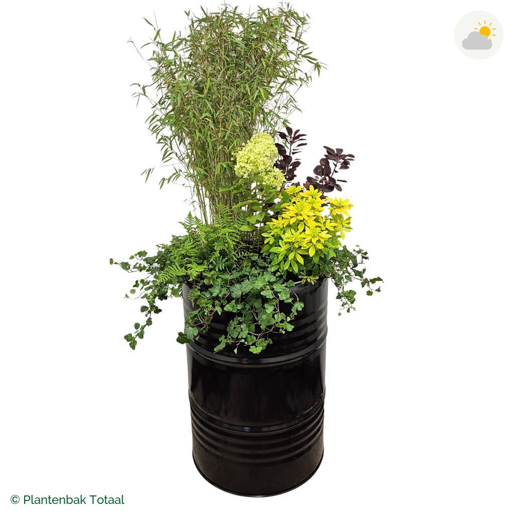productfoto van plantenbak Metalen Olievat Set Bohemen