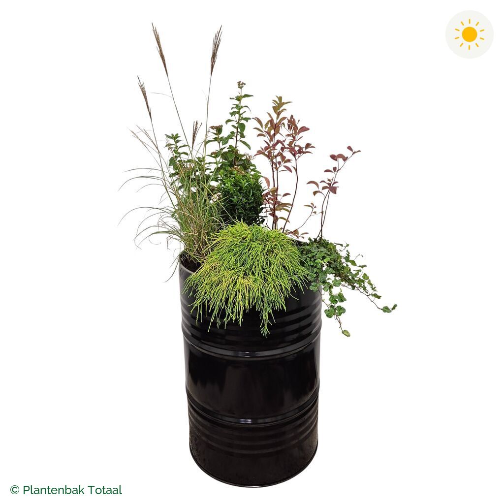 productfoto van plantenbak Metalen Olievat Set Bretagne