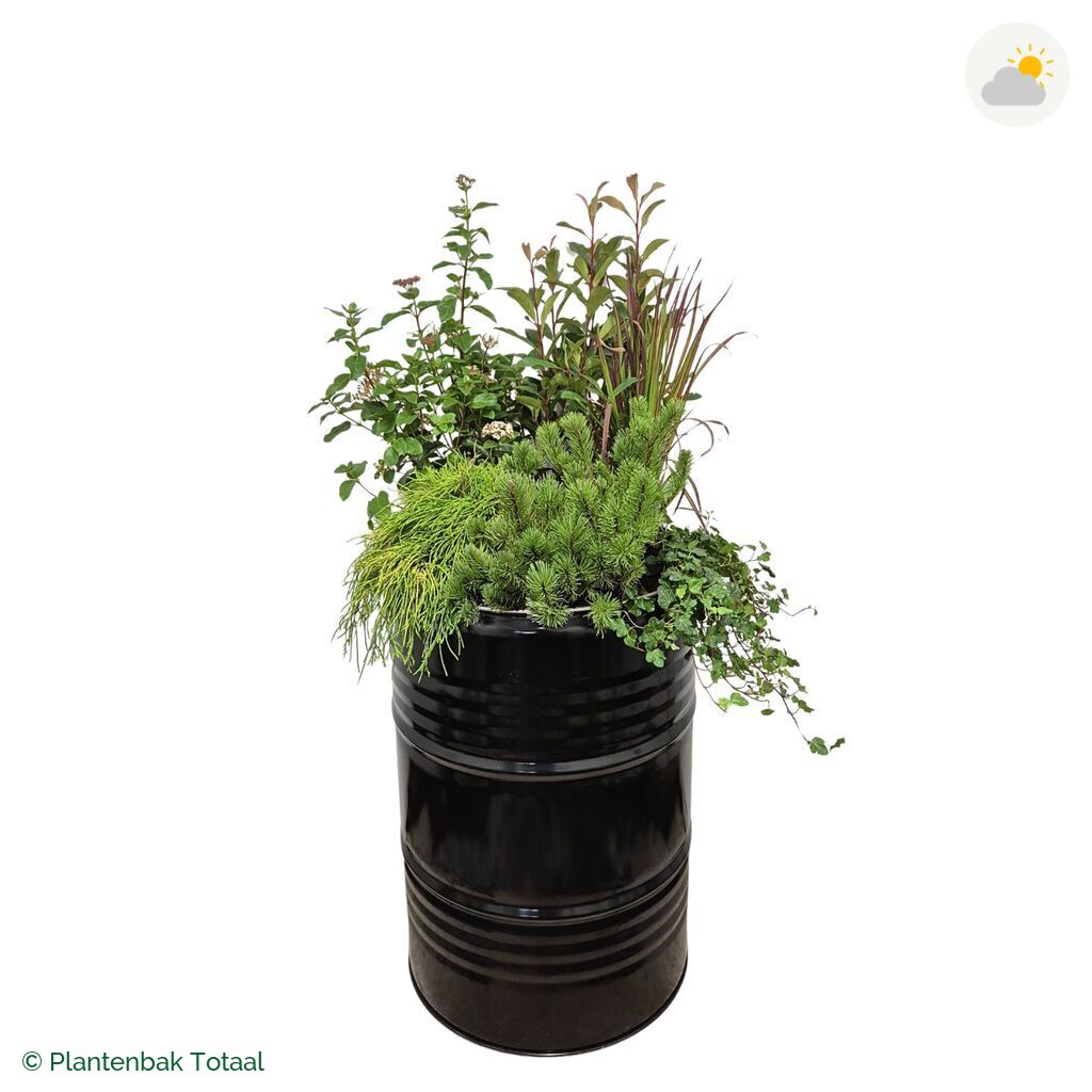productfoto van plantenbak Metalen Olievat Set Eifel