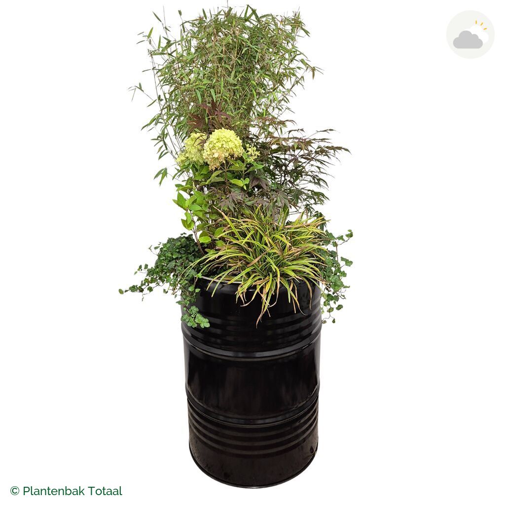 productfoto van plantenbak Metalen Olievat Set Himalaya